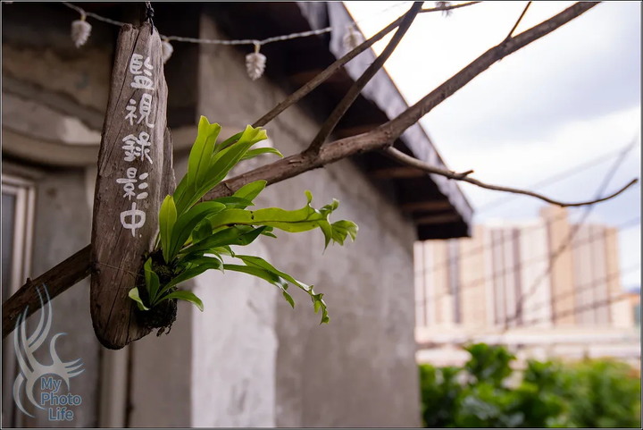 點我看大圖 HD PENTAX-DA★ 16-50mm F2.8 ED PLM AW‧新世代變焦鏡皇:開箱、實測