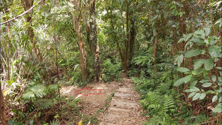 [樂山童盟] [台北文山] 岐山古道-猴山岳前峯-猴山岳