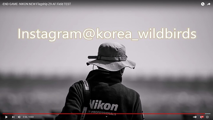 Nikon Z9上市前test run的鳥類攝影集,內文持續增加鳥類生態攝影的影片中。