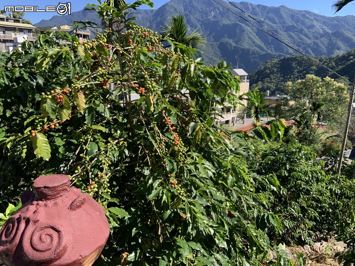 原鄉巡禮,騎上霧台神山~~~