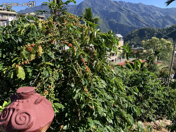 原鄉巡禮，騎上霧台神山~~~