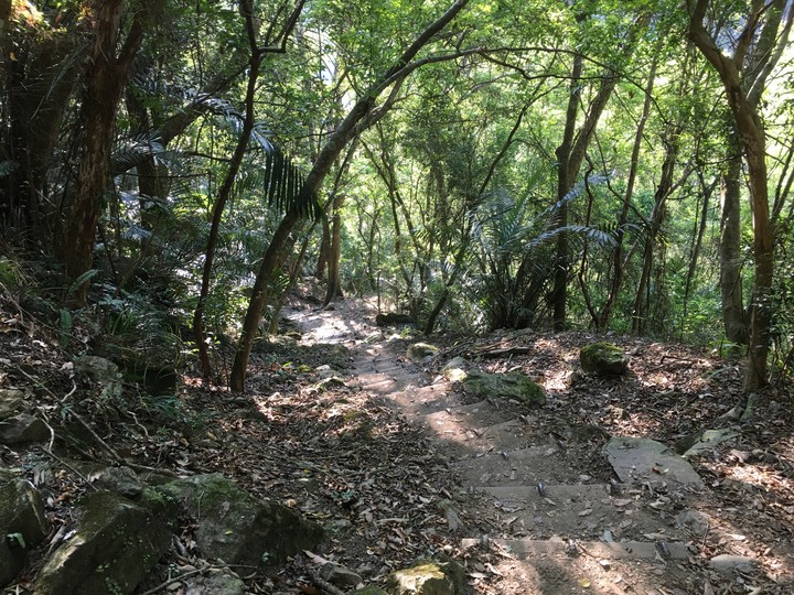 太魯閣健行一日遊,挑戰101高度的錐麓古道