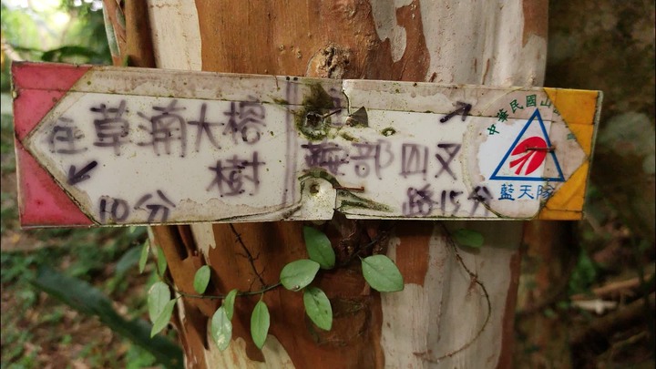 [樂山童盟] [台北文山] 岐山古道-猴山岳前峯-猴山岳