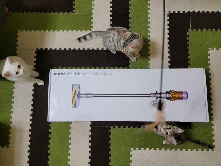 :::貓奴神器::: 雷射綠光偵測 Dyson V12 Detect Slim與7隻貓貓的邂逅