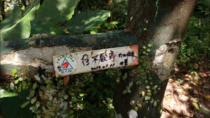 [樂山童盟] [新北瑞芳] 金字碑古道-大粗坑古道