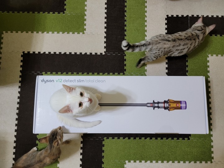 :::貓奴神器::: 雷射綠光偵測 Dyson V12 Detect Slim與7隻貓貓的邂逅