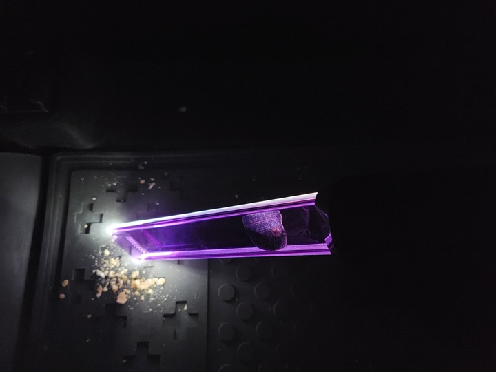 :::貓奴神器::: 雷射綠光偵測 Dyson V12 Detect Slim與7隻貓貓的邂逅