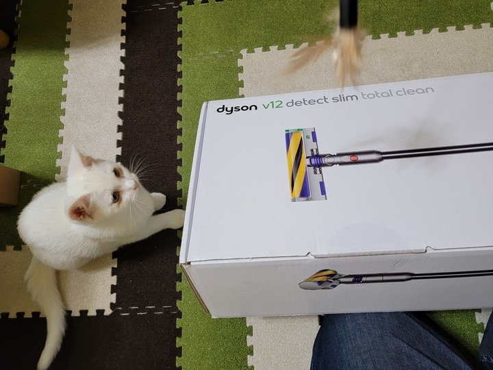 :::貓奴神器::: 雷射綠光偵測 Dyson V12 Detect Slim與7隻貓貓的邂逅