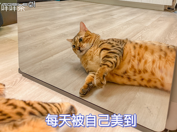 點我看大圖 ★科技衣櫥翻轉你的健康新思路★LG styler 蒸氣電子衣櫥PLUS五件組試用心得 B723MR