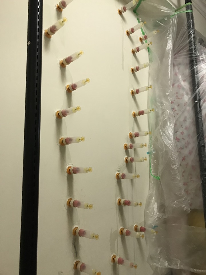 牆壁龜裂低壓灌注（附施工圖）
