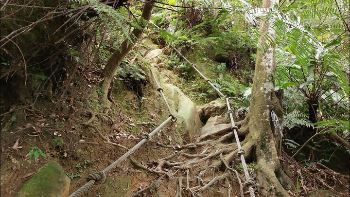 [樂山童盟] [台北文山] 岐山古道-猴山岳前峯-猴山岳