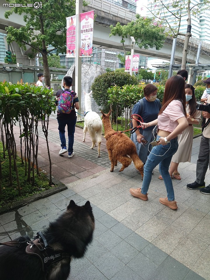 寵物展第一手資訊