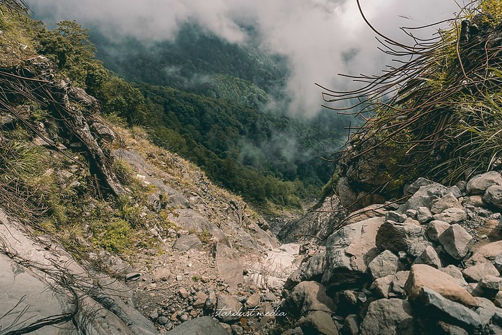 阿里山眠月線一日來回￨沈寂於深山中的舊鐵道秘境
