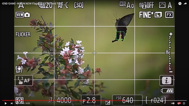 Nikon Z9上市前test run的鳥類攝影集,內文持續增加鳥類生態攝影的影片中。