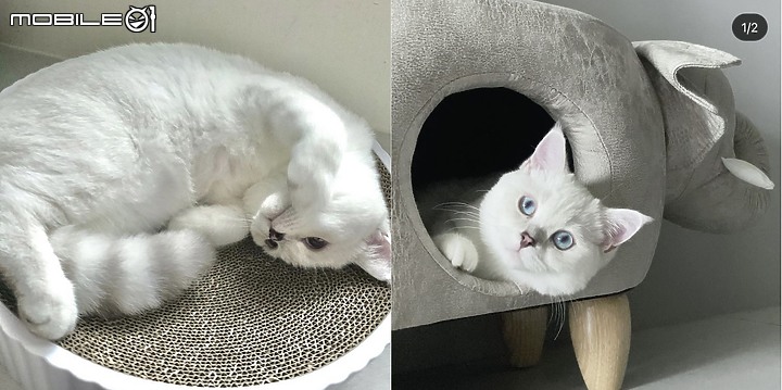 【開箱】內心的歸屬感 現代簡約智能居家
