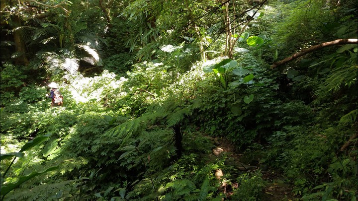[樂山童盟] [台北文山] 岐山古道-猴山岳前峯-猴山岳