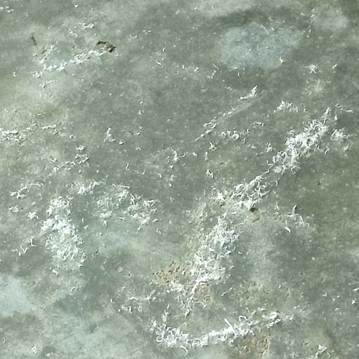 麻煩懂工地的前輩幫忙解答，地面不斷出現白棉絮要怎麼處理