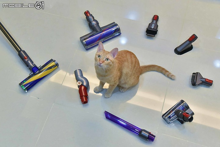 Dyson V12 Detect Slim Total Clean無線吸塵器試用|貓奴必備清潔神器!(附V8 Slim比較)