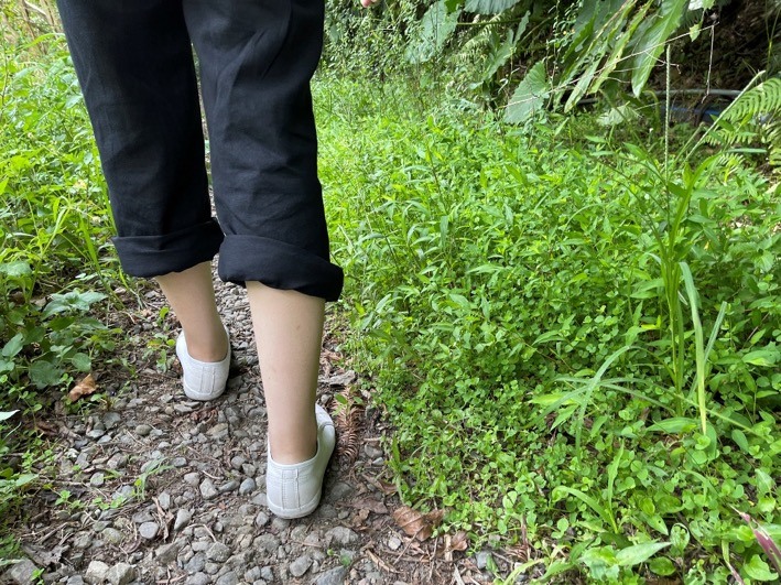 桶後、西坑林道探險+防蚊小心得