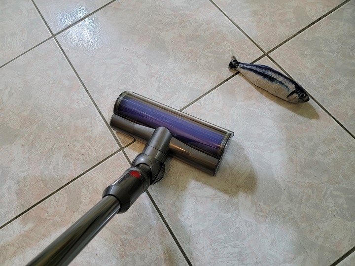 :::貓奴神器::: 雷射綠光偵測 Dyson V12 Detect Slim與7隻貓貓的邂逅