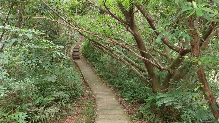 [樂山童盟] [台北文山] 岐山古道-猴山岳前峯-猴山岳