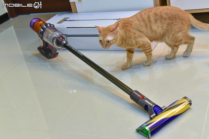 Dyson V12 Detect Slim Total Clean無線吸塵器試用|貓奴必備清潔神器!(附V8 Slim比較)
