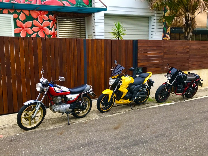 動物系迎娶車隊