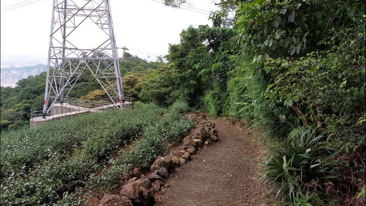 [樂山童盟] [台北文山] 岐山古道-猴山岳前峯-猴山岳