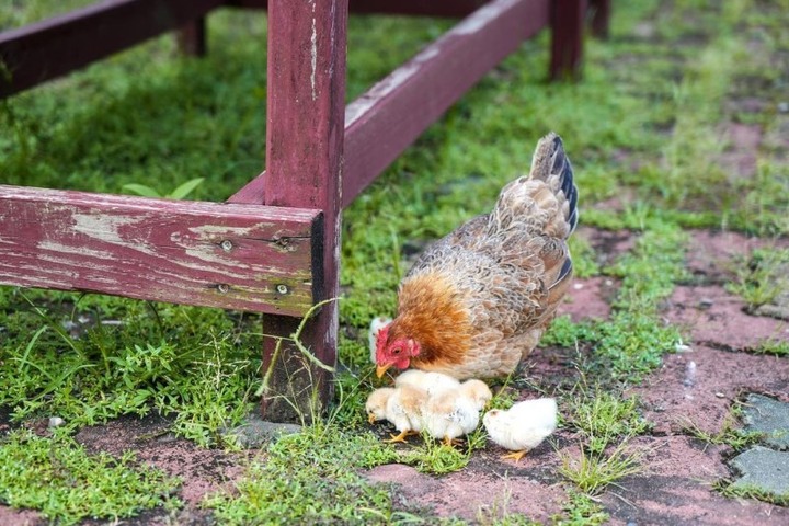 《俗女養成記》取景地！「天空之鏡」無邊際泳池仙氣破表！