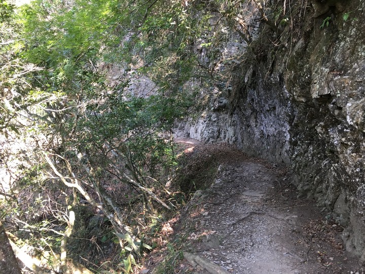 太魯閣健行一日遊,挑戰101高度的錐麓古道