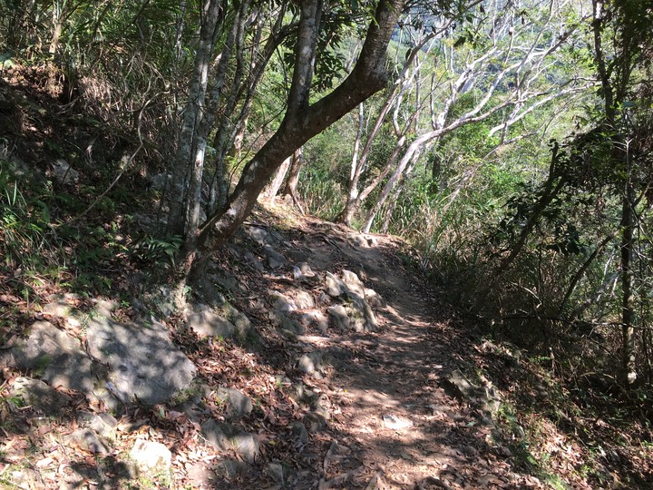 太魯閣健行一日遊,挑戰101高度的錐麓古道
