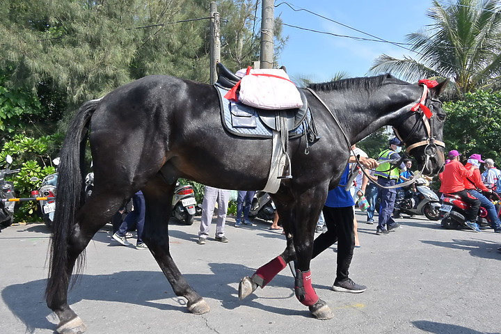 2021年辛丑正科南州迎王平安祭典