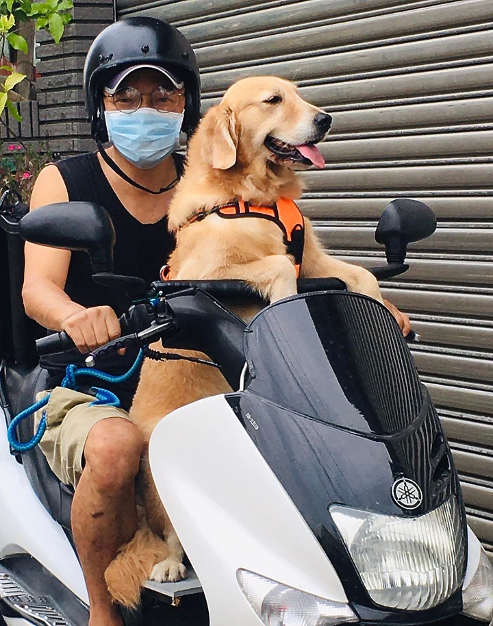 點我看大圖 我和我家毛孩都愛死這螞蟻車了!