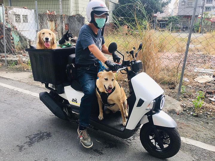 點我看大圖 我和我家毛孩都愛死這螞蟻車了!