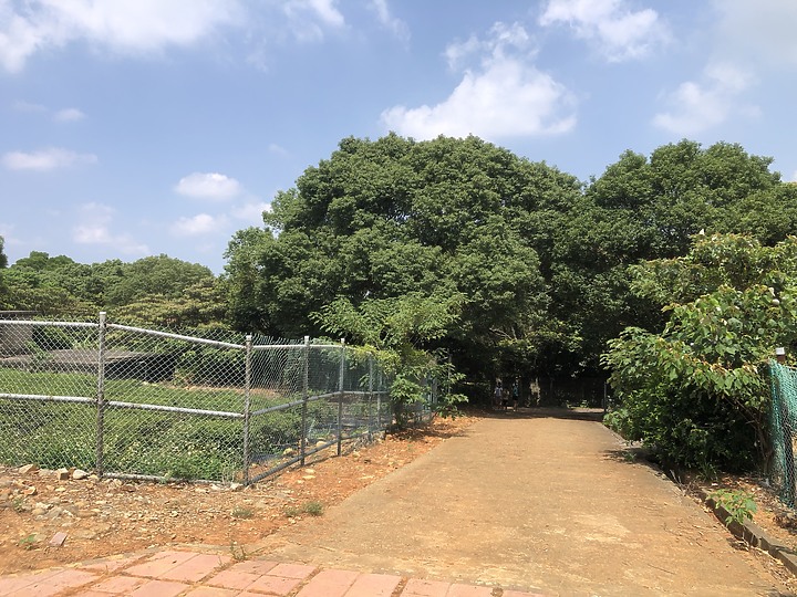 乙未戰爭歷史路線，用單車走讀台灣史上最大戰役
