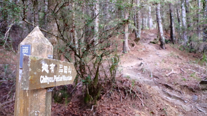 點我看大圖 大霸尖山之無敵冷門支線塔克金溪(淡水河源頭)