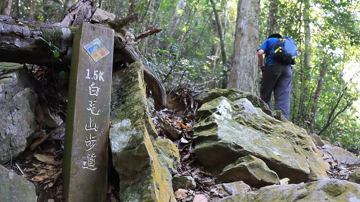 谷關七雄老六--白毛山