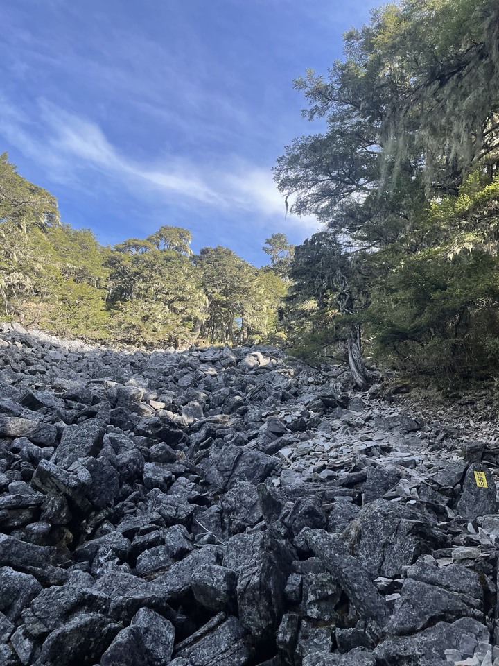 點我看大圖 大霸尖山之無敵冷門支線塔克金溪(淡水河源頭)
