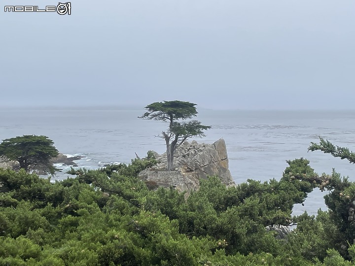 美西公路旅遊~43天