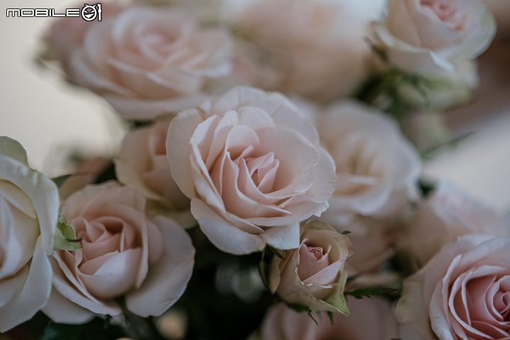畫質新高度——富士龍XF33mmF1.4 R LM WR