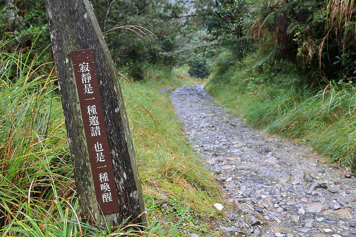點我看大圖 (映像旅行) 旅行追尋,任性不設限in宜蘭 feat. Ford Focus Active任性版