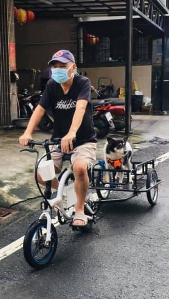 點我看大圖 我和我家毛孩都愛死這螞蟻車了!