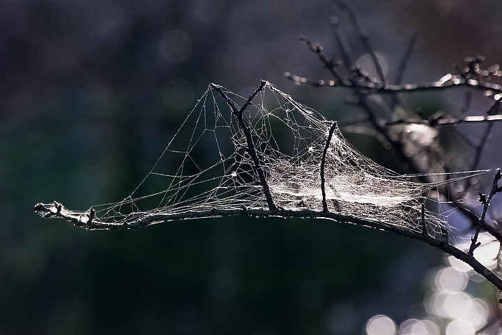 經典CCD相機收藏回顧～第二章