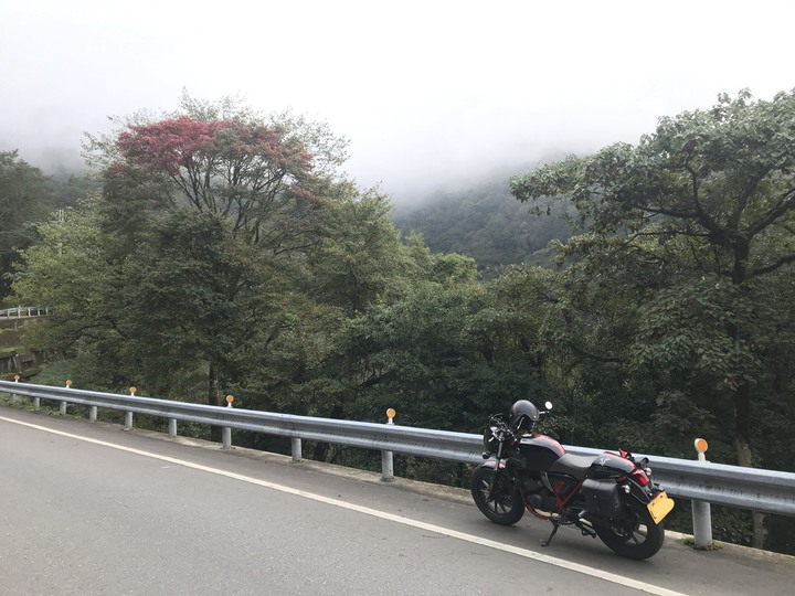 秋末長旅:銀杏森林、武嶺、777、888、999
