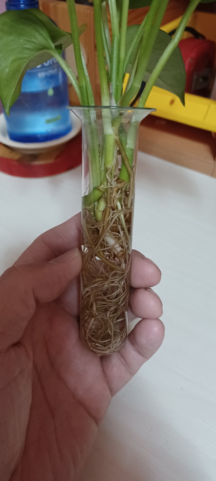 玻璃試管哪裡買