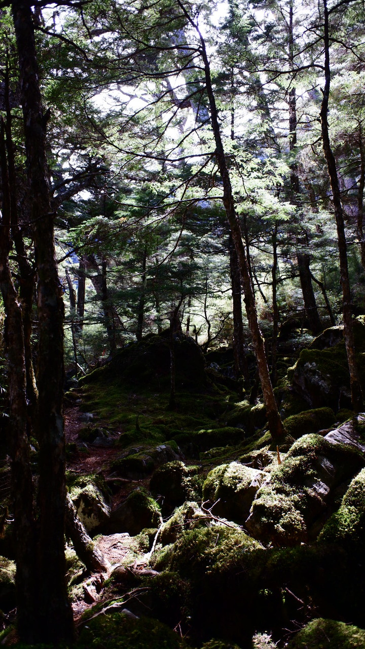 點我看大圖 大霸尖山之無敵冷門支線塔克金溪(淡水河源頭)