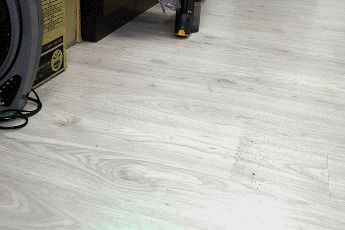 【誠實試用】 傳承精神 Dyson V12 Detect™ Slim Total Clean 旗艦吸塵器