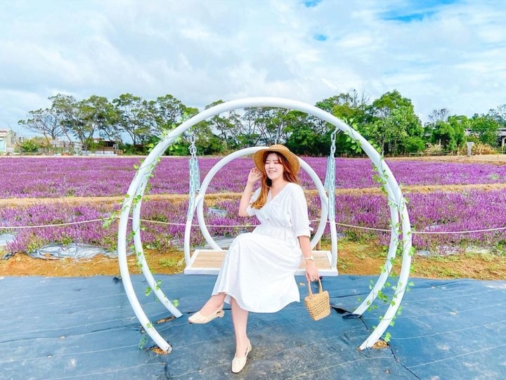 夢幻紫色花海宛若台版普羅旺斯!2021桃園仙草花節美翻天