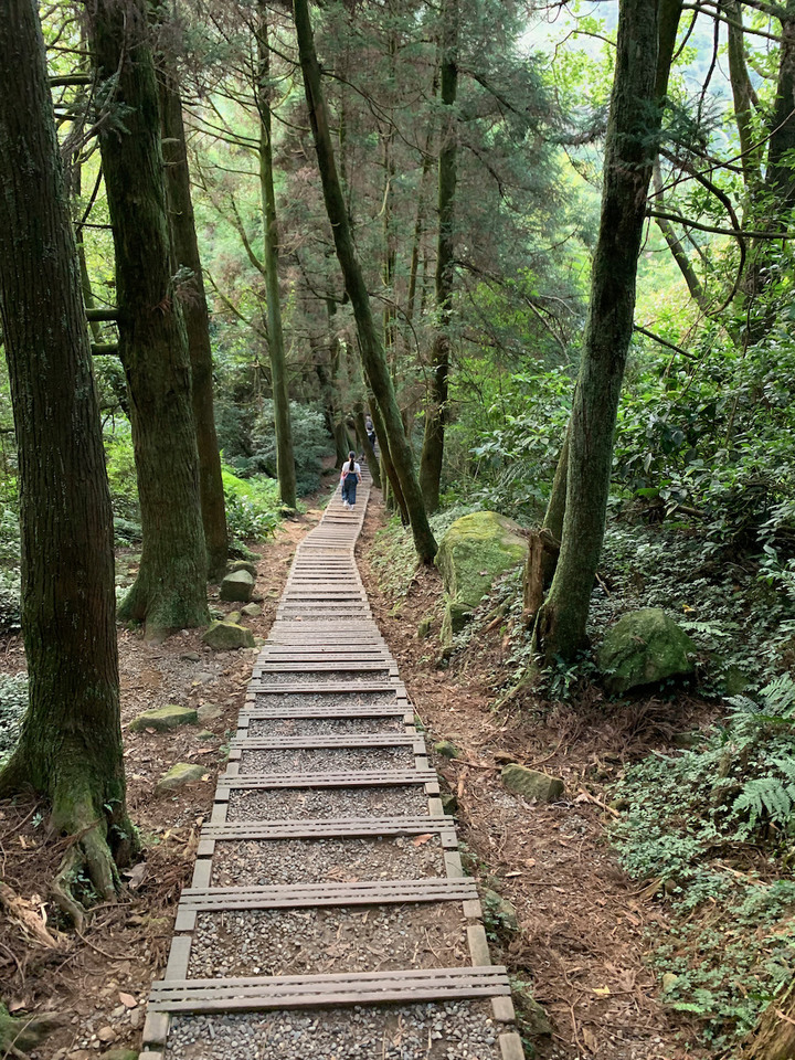 親子散策推薦路線 – 台北陽明山冷擎步道