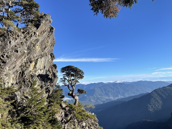 點我看大圖 大霸尖山之無敵冷門支線塔克金溪(淡水河源頭)